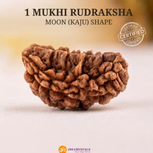 1-Mukhi-Rudraksha-Moon-Kaju-Shape