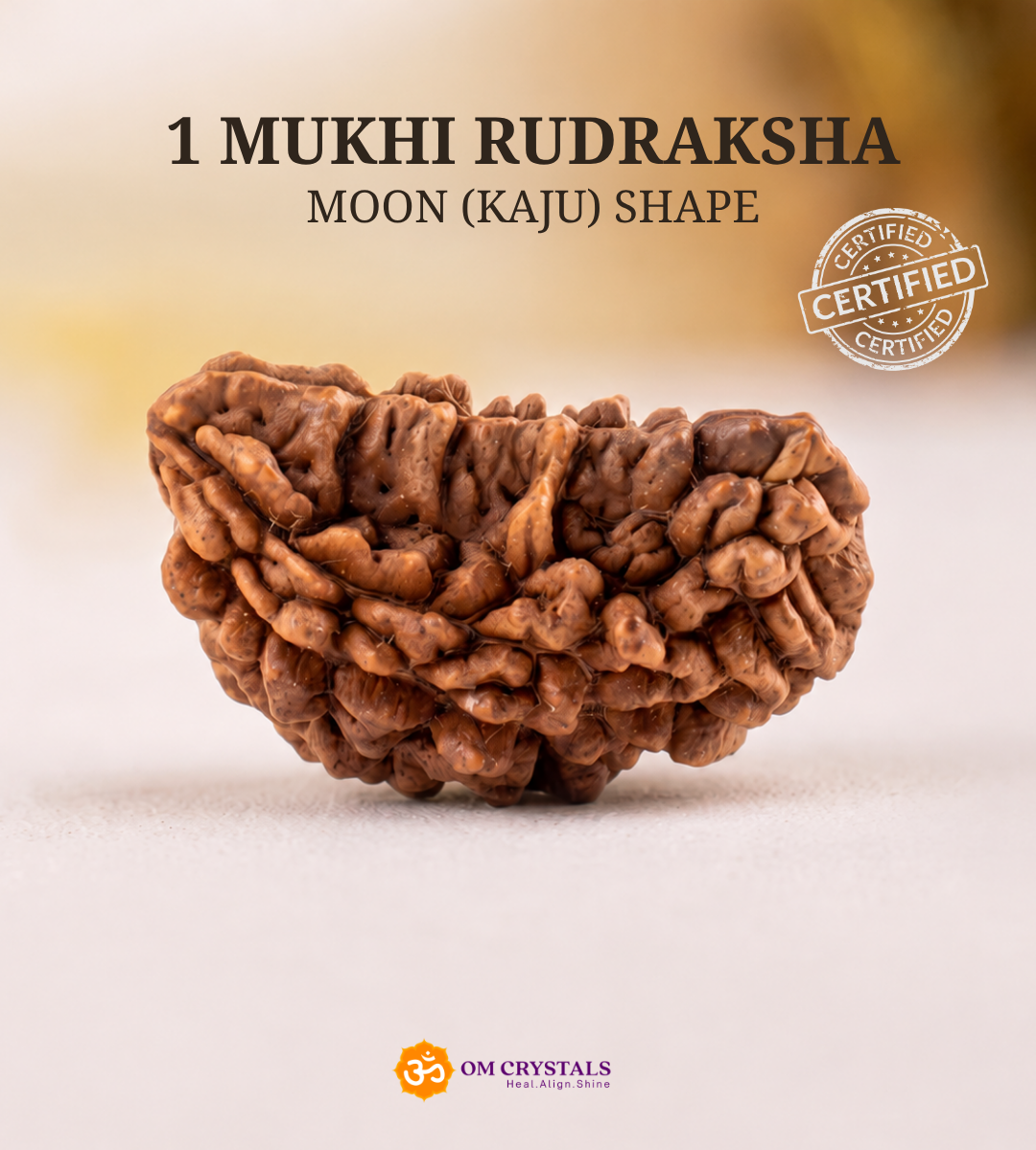 1 Mukhi Rudraksha Moon (Kaju) Shape – Indian Origin